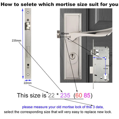 Serratura Intelligente TTLock — Impronta, Codice, RFID, App, Alexa — IP66 Alluminio per Porte
