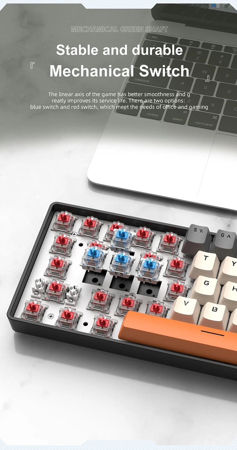 ⌨️ Tastiera Meccanica APAYADO K61 Mini 60% | RGB Phantom | Switch Rosso & Blu | Gaming & Ufficio