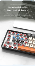 ⌨️ Tastiera Meccanica APAYADO K61 Mini 60% RGB