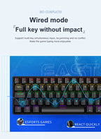 ⌨️ Tastiera Meccanica APAYADO K61 Mini 60% RGB
