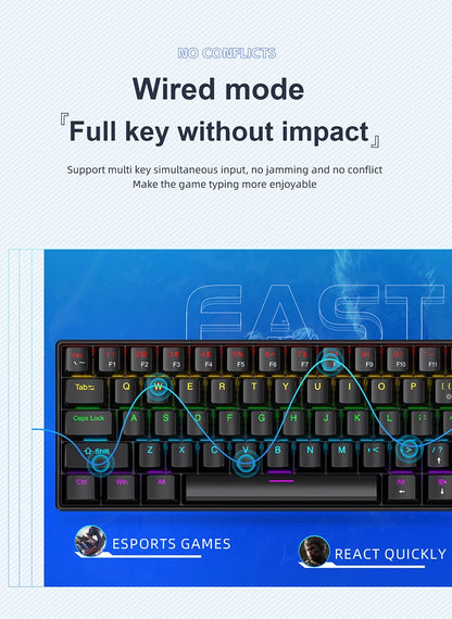⌨️ Tastiera Meccanica APAYADO K61 Mini 60% | RGB Phantom | Switch Rosso & Blu | Gaming & Ufficio